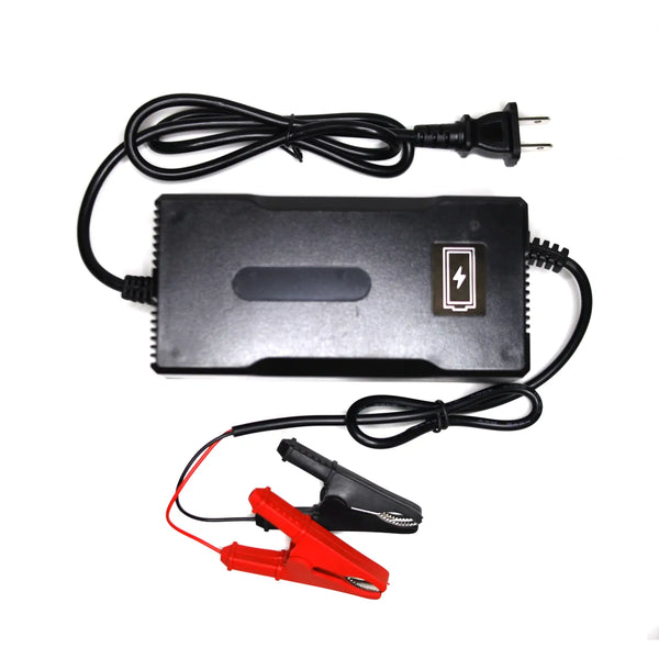 12V 5A LiFePO4 Battery Charger