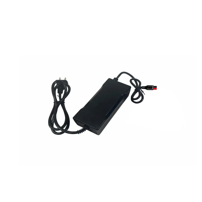 48V 5A NMC Lithium Battery Charger