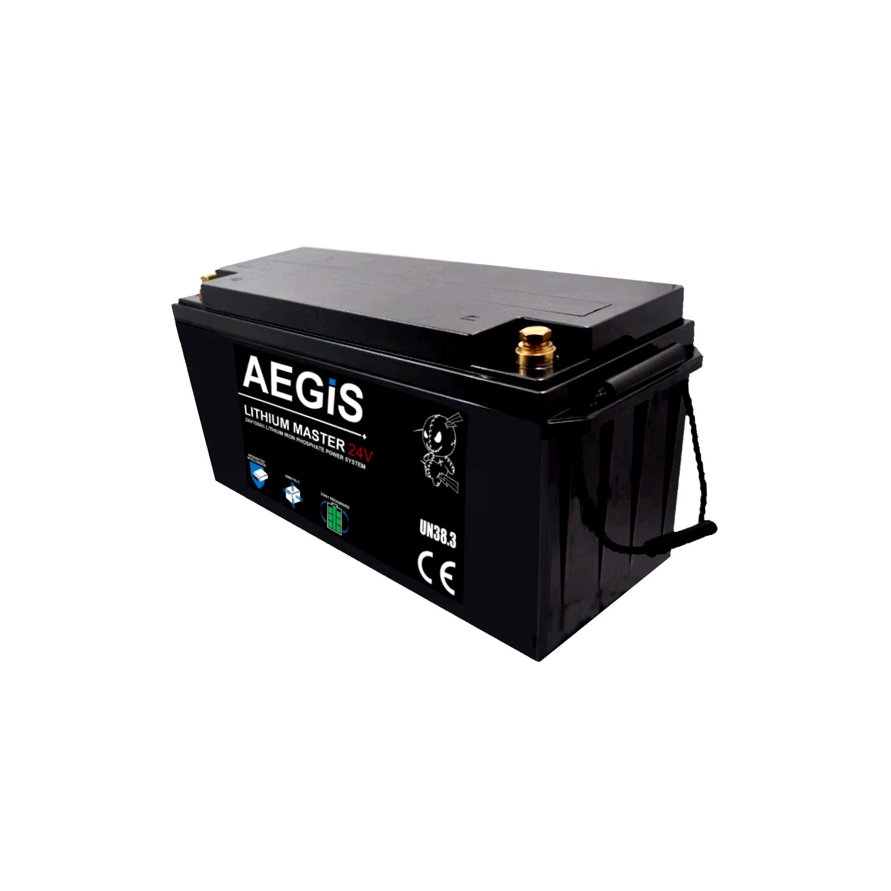 24V 25A Li-ion Battery Charger - Aegis Battery Lithium ion